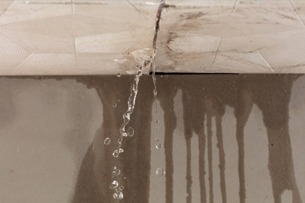 Professional Burst Pipe Cleanup technician working in Hamilton, MO